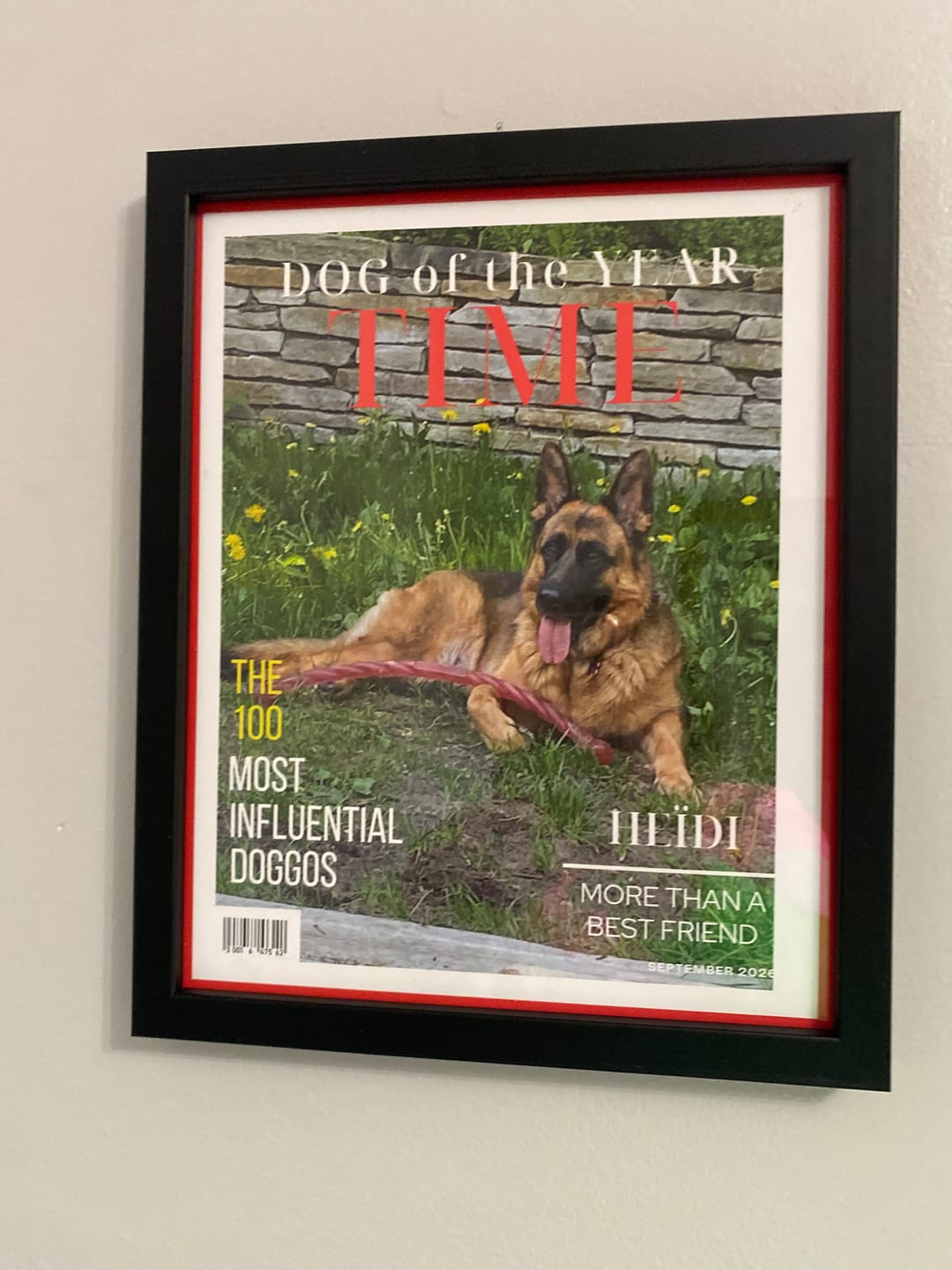 Customer photo review of Pet Portrait Magazine Cover