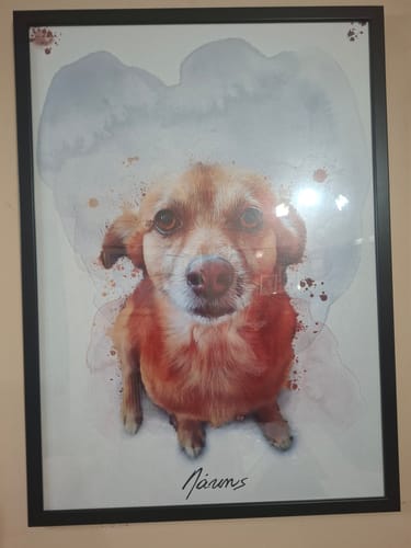 Customer photo review of Πορτραίτο Κατοικίδιου - Νερομπογιά