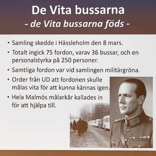 Customer photo review of McLifts - 8cm (3")