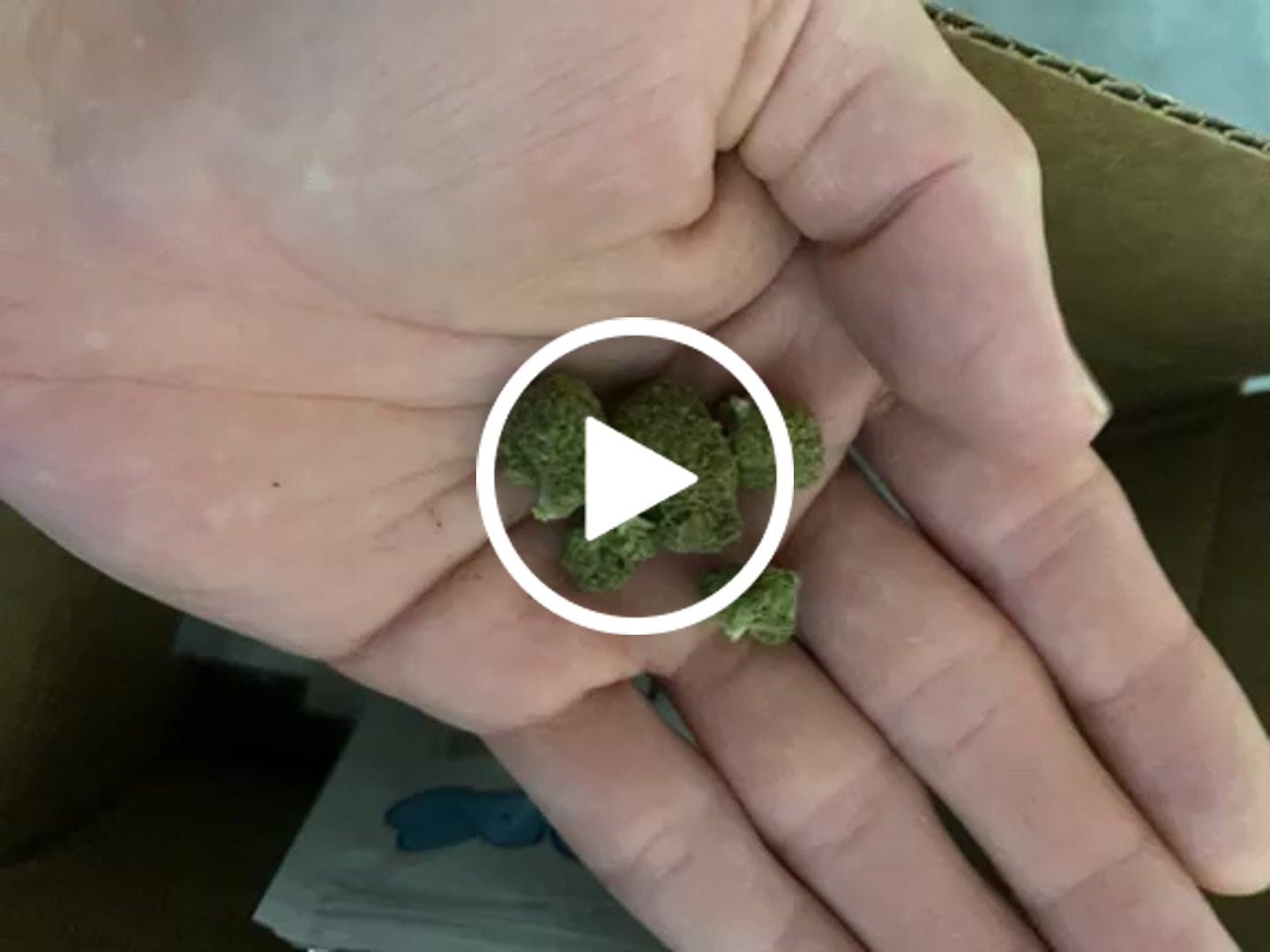 Customer video review of Greenhouse THCa Flower