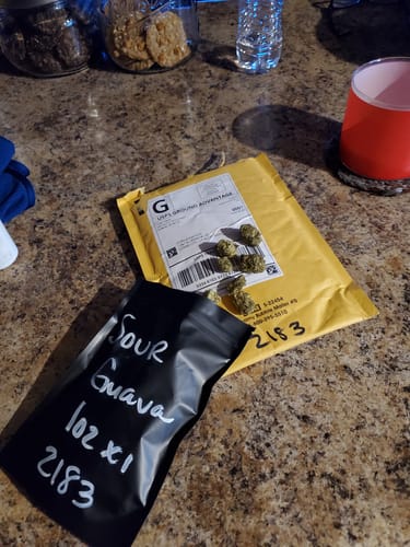 Customer photo review of Pure Michigan - Hybrid