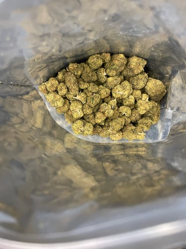 Customer photo review of Cheap THCA Flower Half Pound