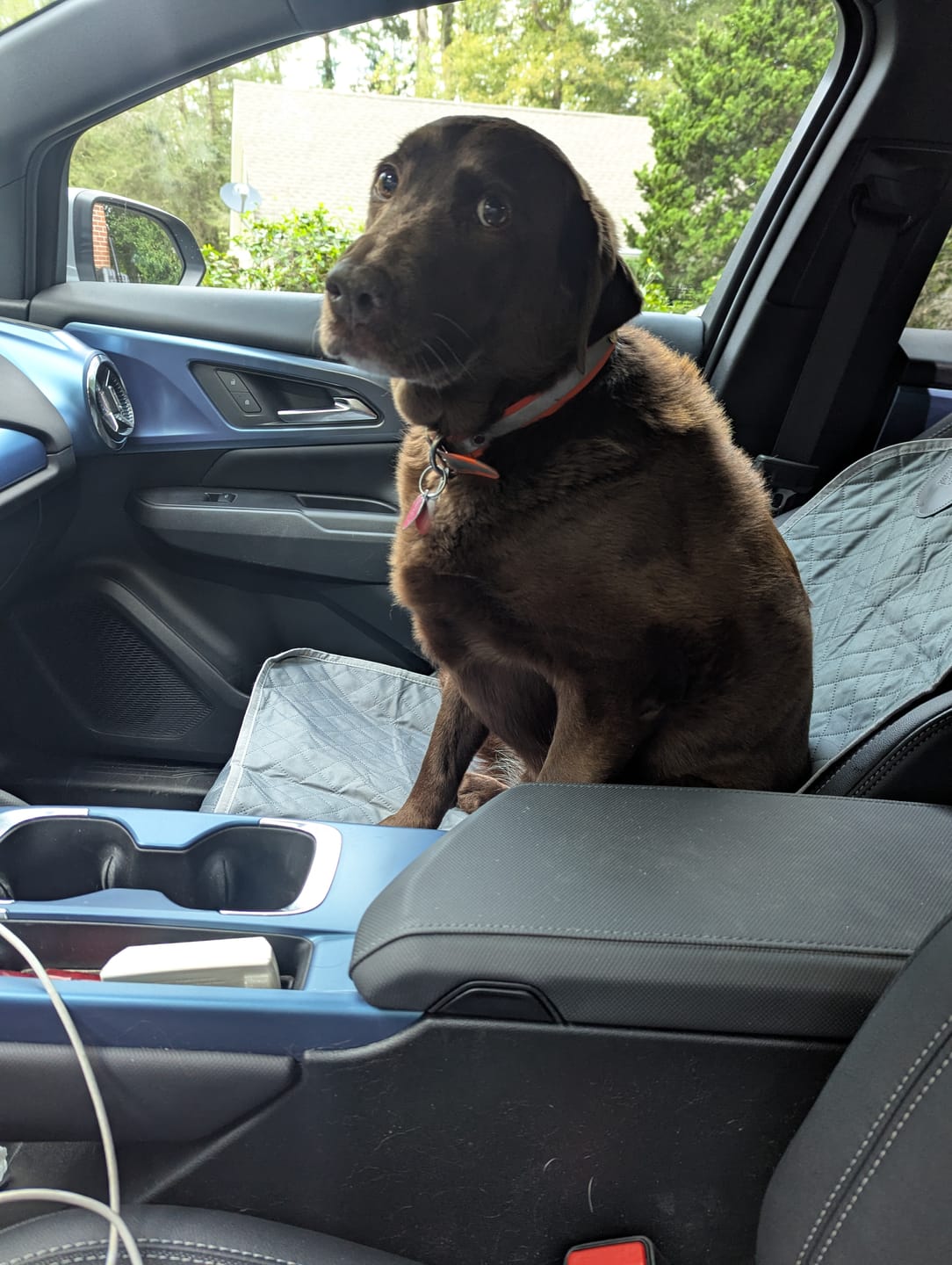Customer photo review of Waterproof Single-Seat Cover