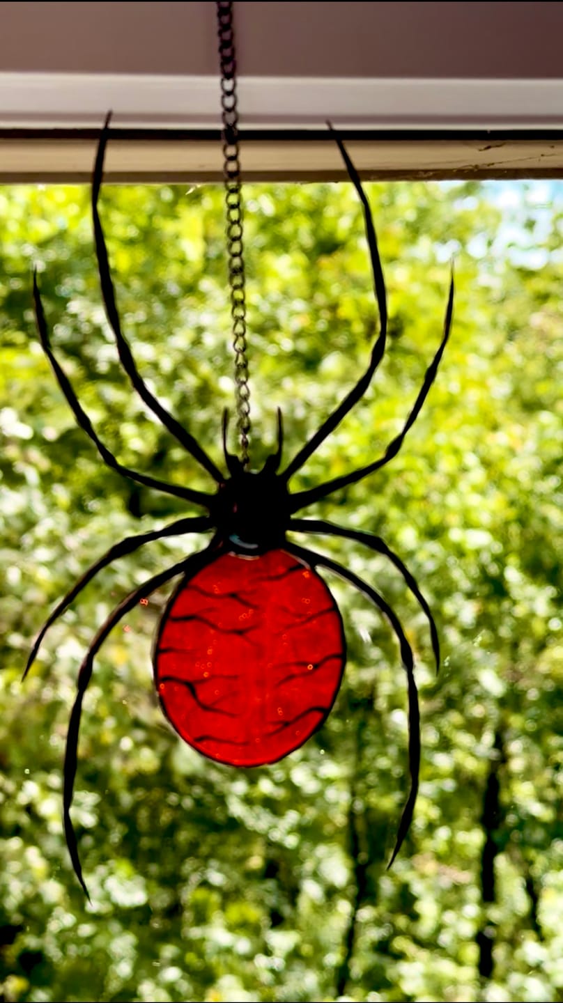 Customer photo review of Stained Glass Jumping Spider