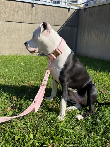 Customer photo review of Extreme Buckle med namn