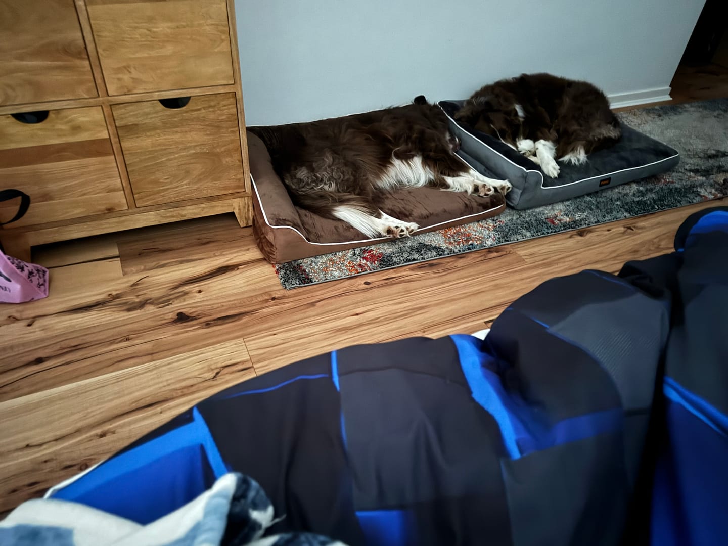 Customer photo review of Orthopedic Dog Bed with Memory Foam Cushion - Washable Cover