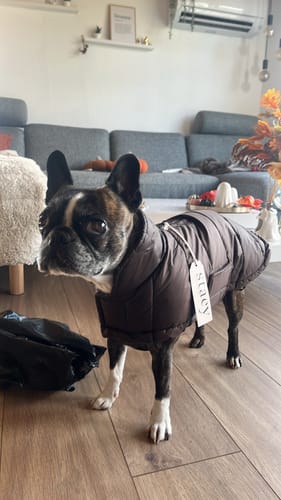 Customer photo review of Staey - Nora Hundefrakke, Espresso