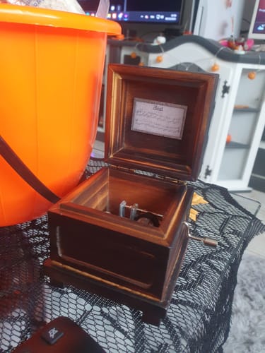 Customer photo review of Phasmophobia Music Box