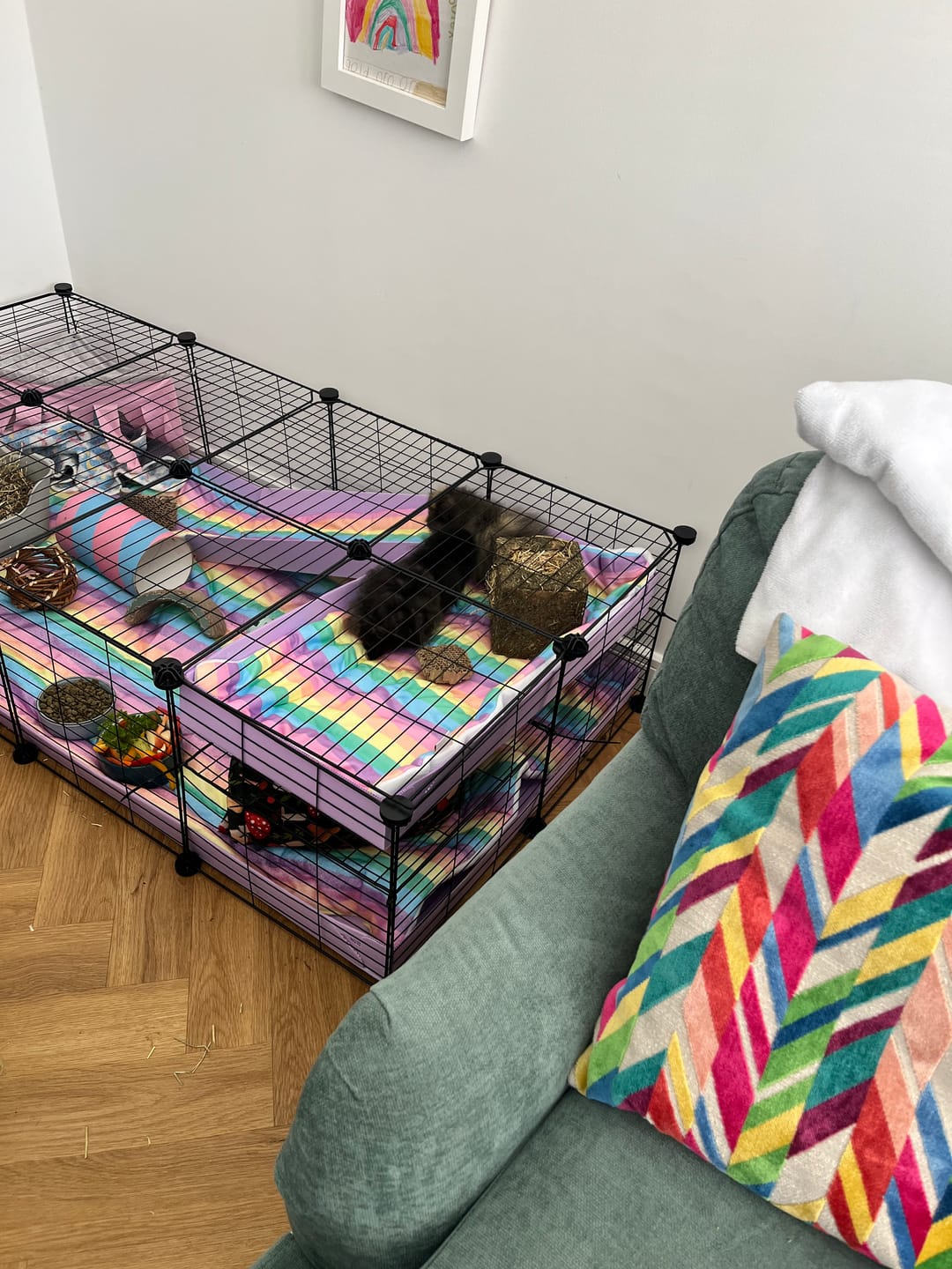 Customer photo review of Set of 2 Fleece Liners | Radiant Rainbow