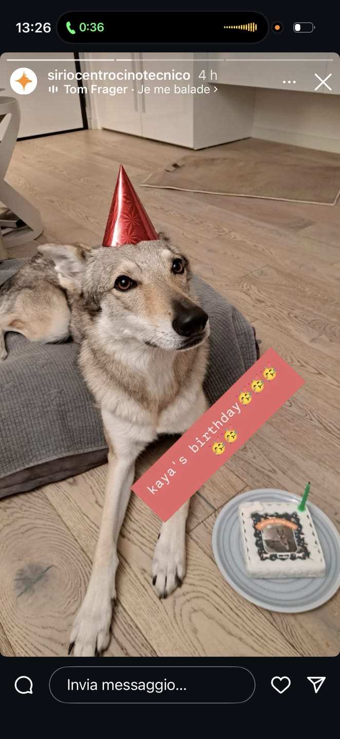 Customer photo review of Fotogenica 2 Torta Per Cani con Fotografia e Messaggio