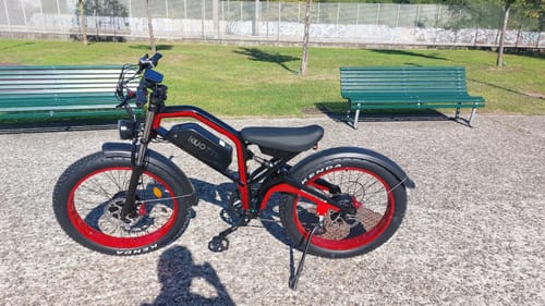 Customer photo review of DUOTTS N26 Electric Bike