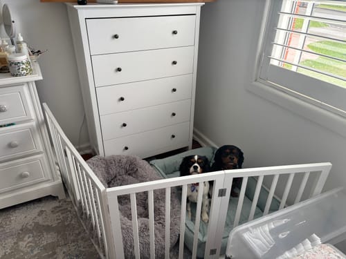 Customer photo review of Wooden Pet Gate