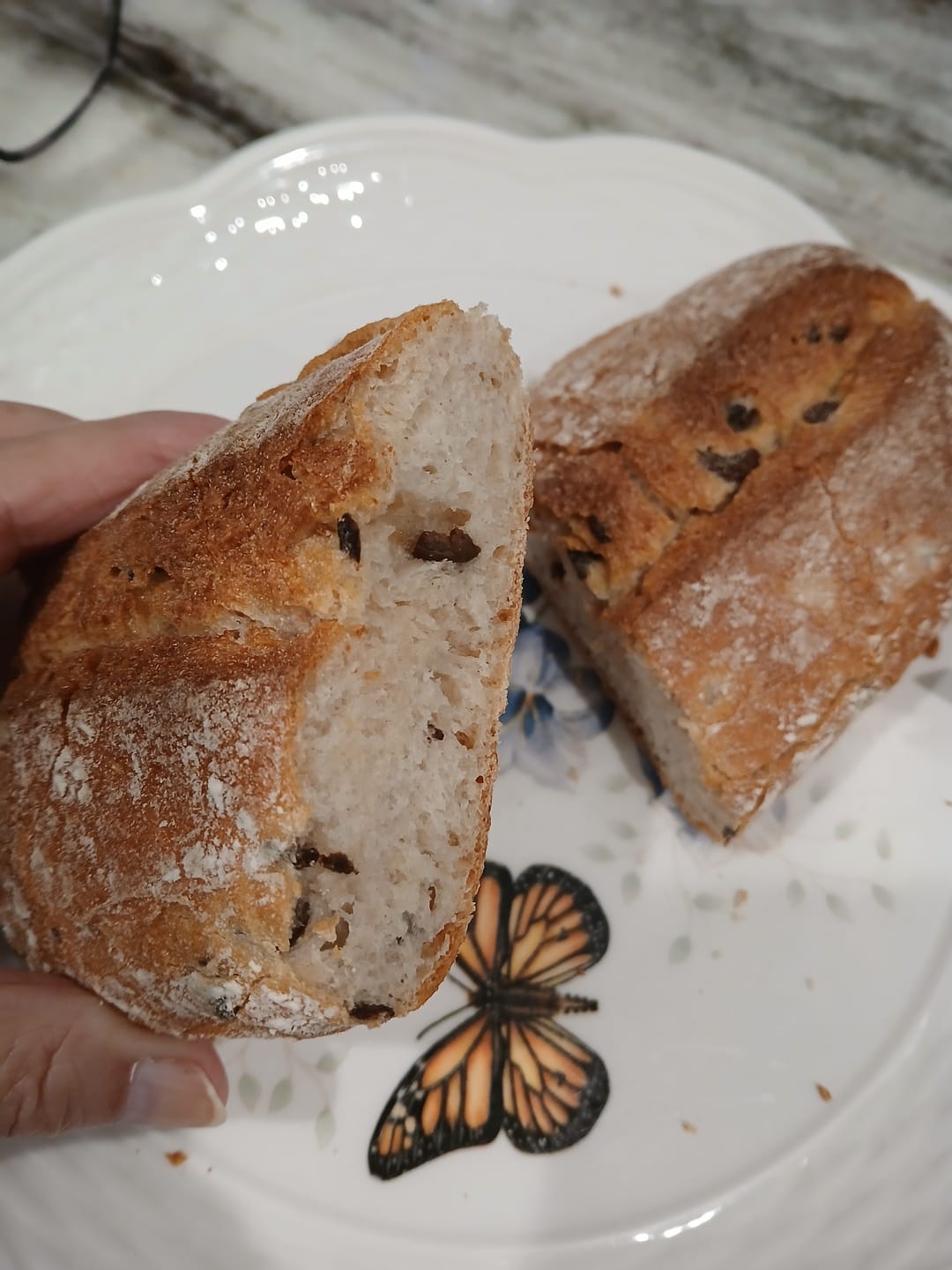 Customer photo review of Olive Ciabattini Rolls (4 pack)