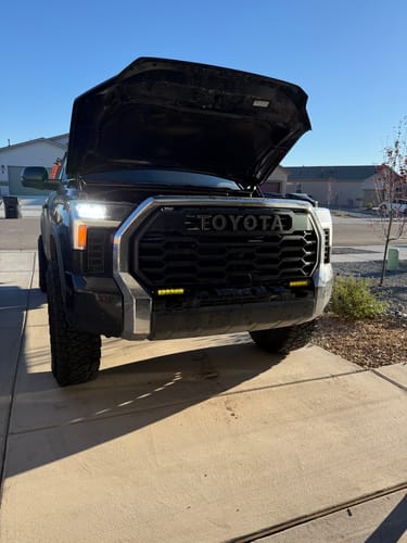 Customer photo review of LED Fog Light - Fits Toyota Tacoma, Tundra, 4Runner, and Sequoia