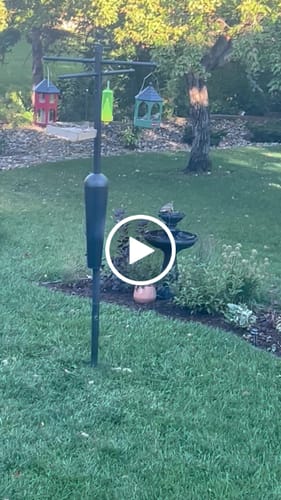 Customer video review of Bosconero Cordless Fountain