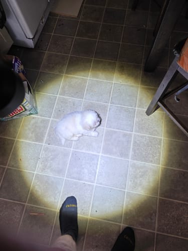 Customer photo review of BADA** FLASHLIGHT