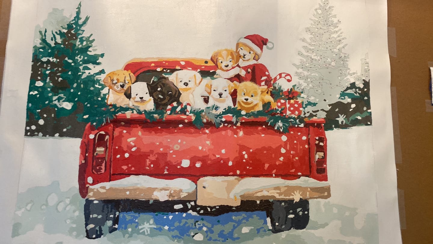 Customer photo review of Puppy Christmas Delivery