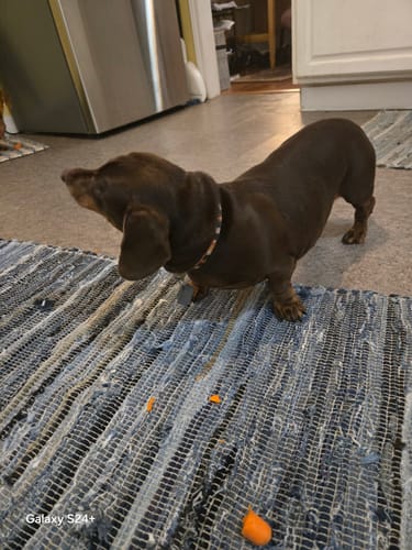 Customer photo review of DA-1™ Daily All-in-One Complete Care