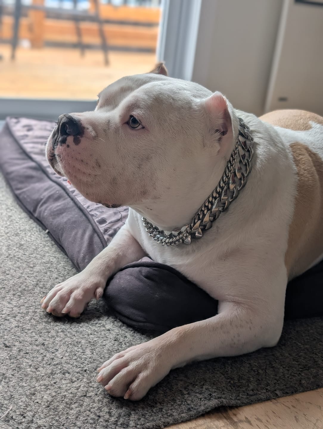 Customer photo review of THE ROLLA