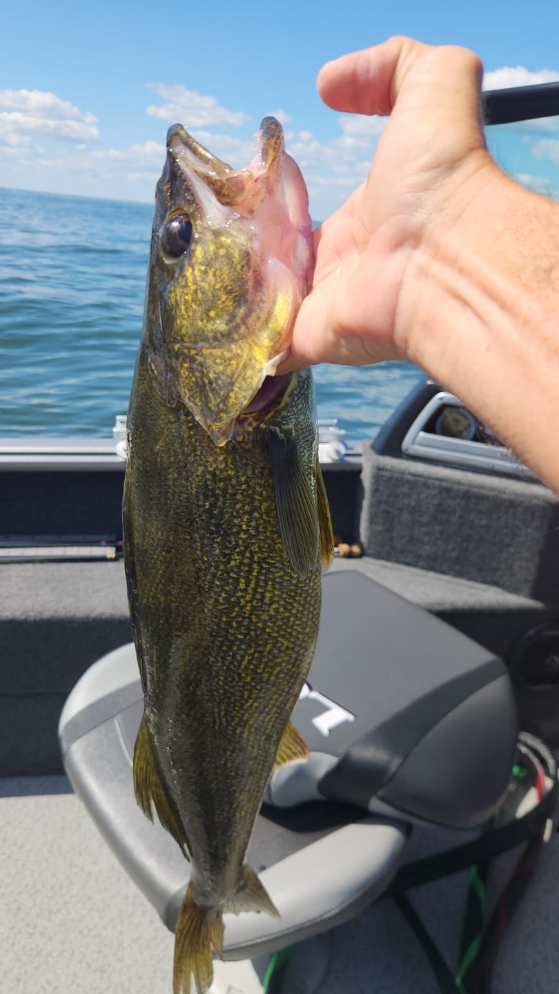 Customer photo review of Custom Spinning Rod