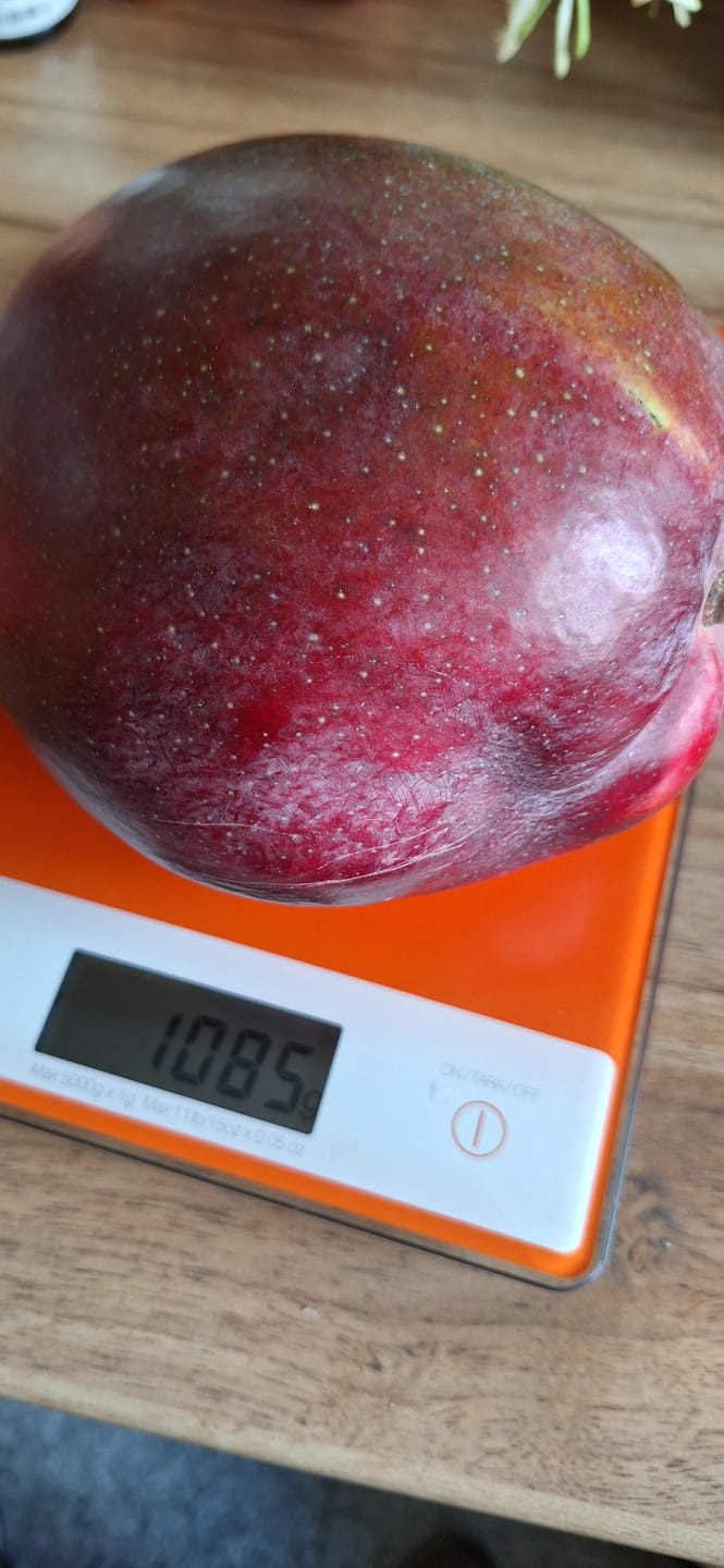 Customer photo review of Riesenmango "Rosa" wild von Julian Stk. ca. 1kg
