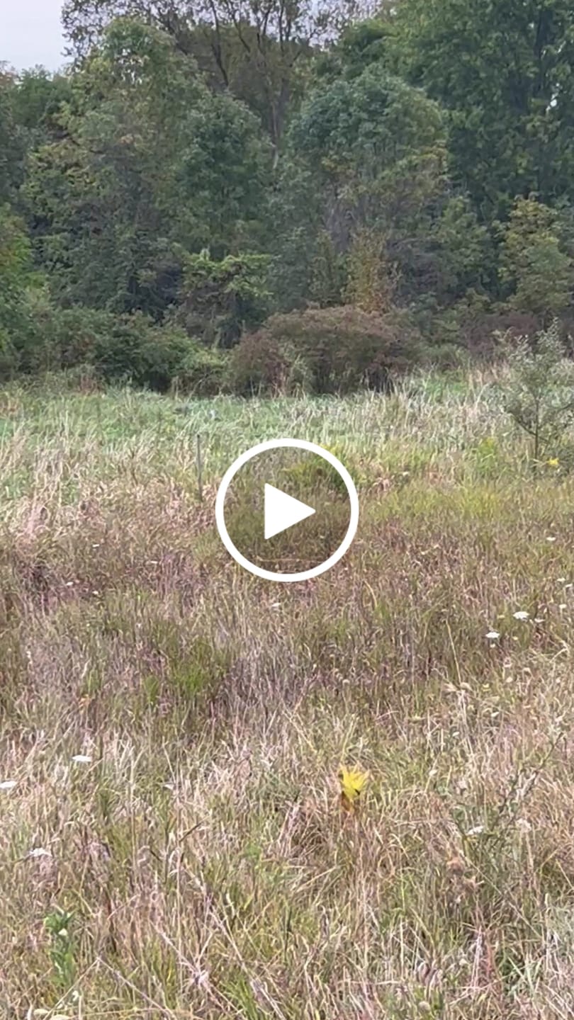Customer video review of Vis360 See Through Silent 4 Full Panels Hunting Blind and  Camo Deer Hunting Rangefinder Bundle