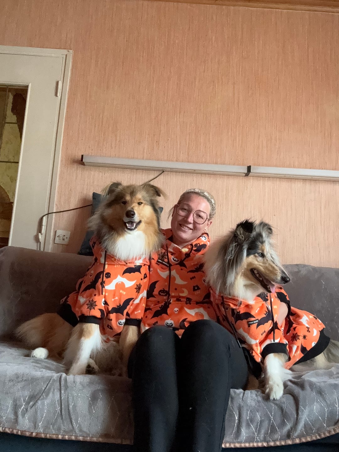 Customer photo review of Halloween Dog Hoodie - Orange