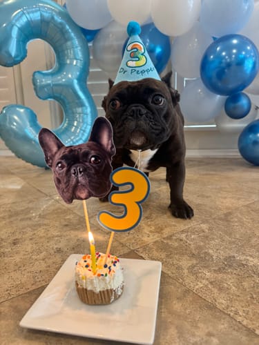 Customer photo review of Personalized Dog Party Pack