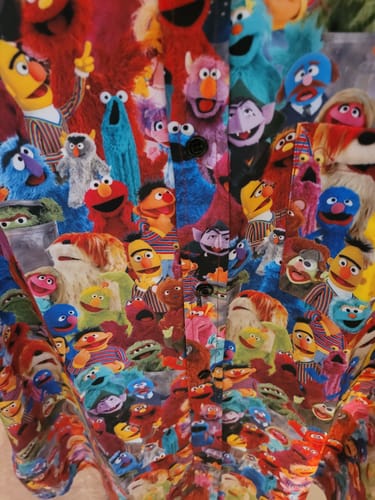 Customer photo review of Sesame Street "Block Party" – KUNUFLEX Short Sleeve Shirt