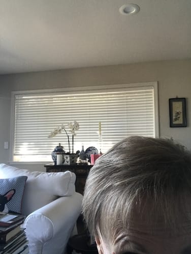 Customer photo review of VOLU Shampoo