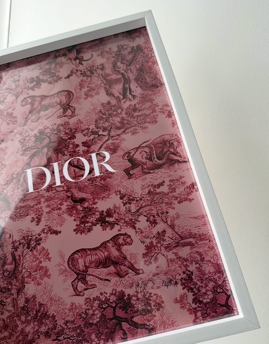 Customer photo review of Cadre photo Dior Rose Dessin