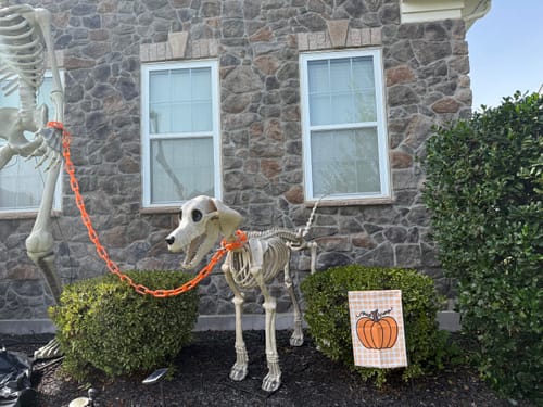 Customer photo review of F*ck Trump Autumn Pumpkin Garden Flag