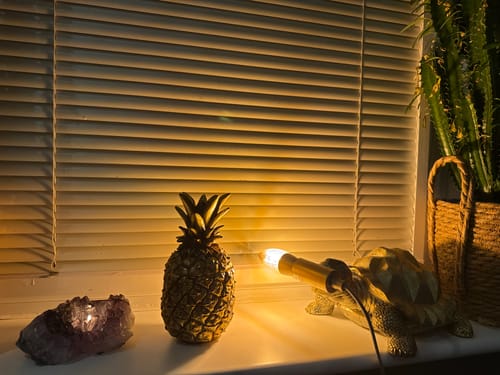 Customer photo review of Gilded Pineapple Storage Jar