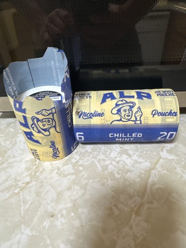 Customer photo review of Chilled Mint Nicotine Pouches