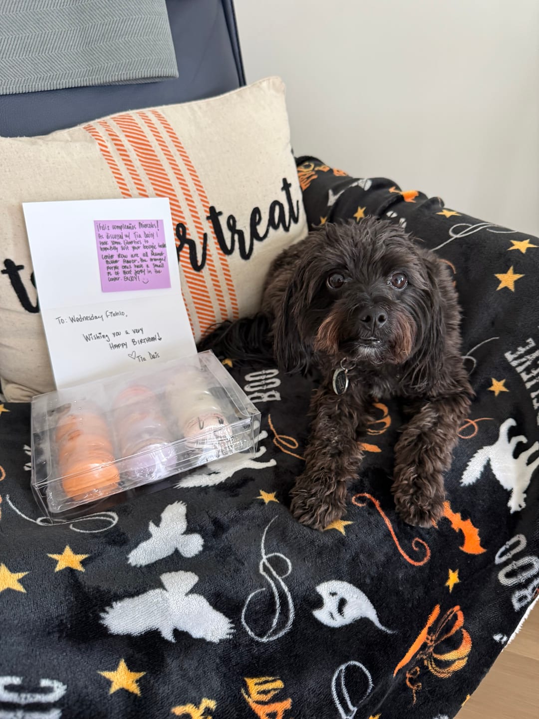 Customer photo review of Happy Birthday Sleeve