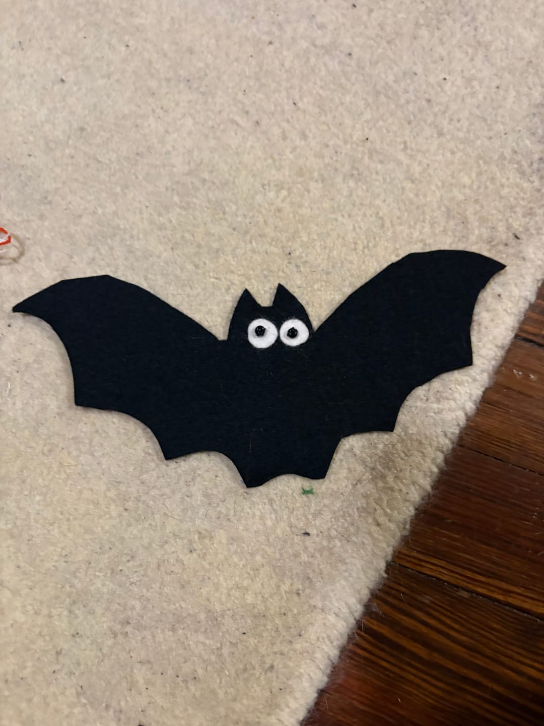 Customer photo review of 100% Wool Craft Felt By Yard
