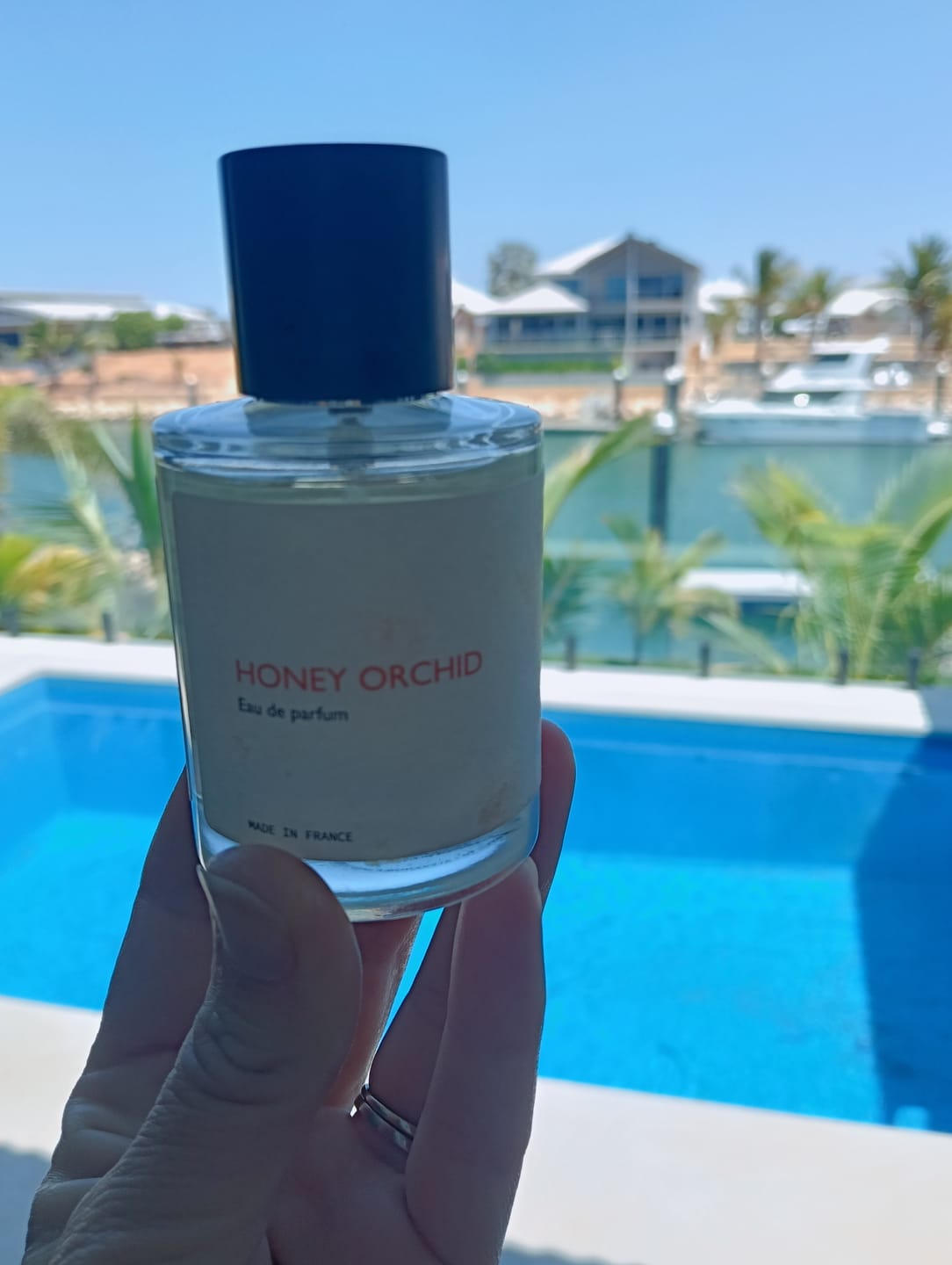 Customer photo review of Honey Orchid