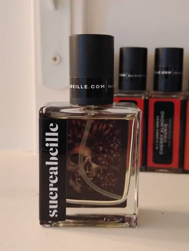 Customer photo review of How Luscious Is The Dark