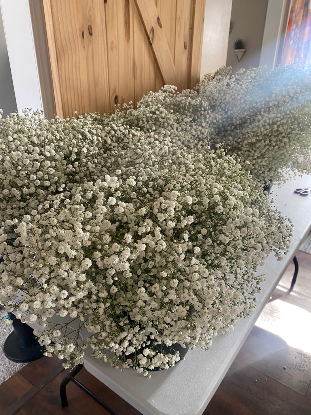 Customer photo review of Million Star Gypso