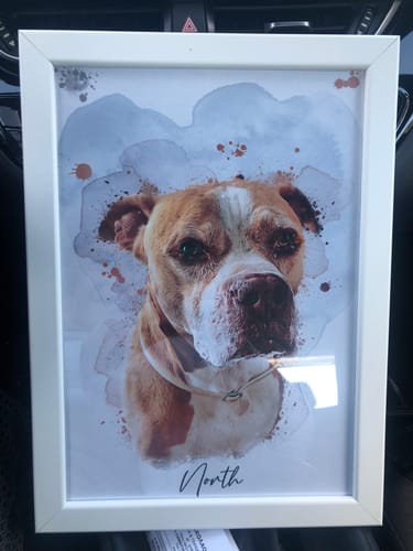 Customer photo review of Πορτραίτο Κατοικίδιου - Νερομπογιά