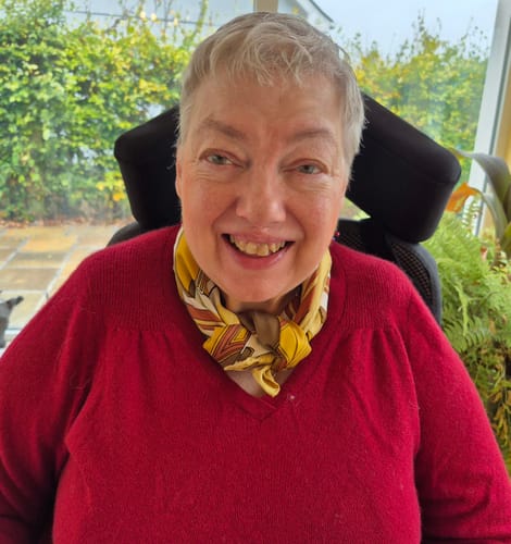 Customer photo review of Hermès Les Coupés Vintage Silk Scarf