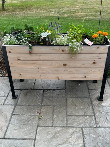 Customer photo review of 18" x 36" Raised Garden Bed - 30" TALL
