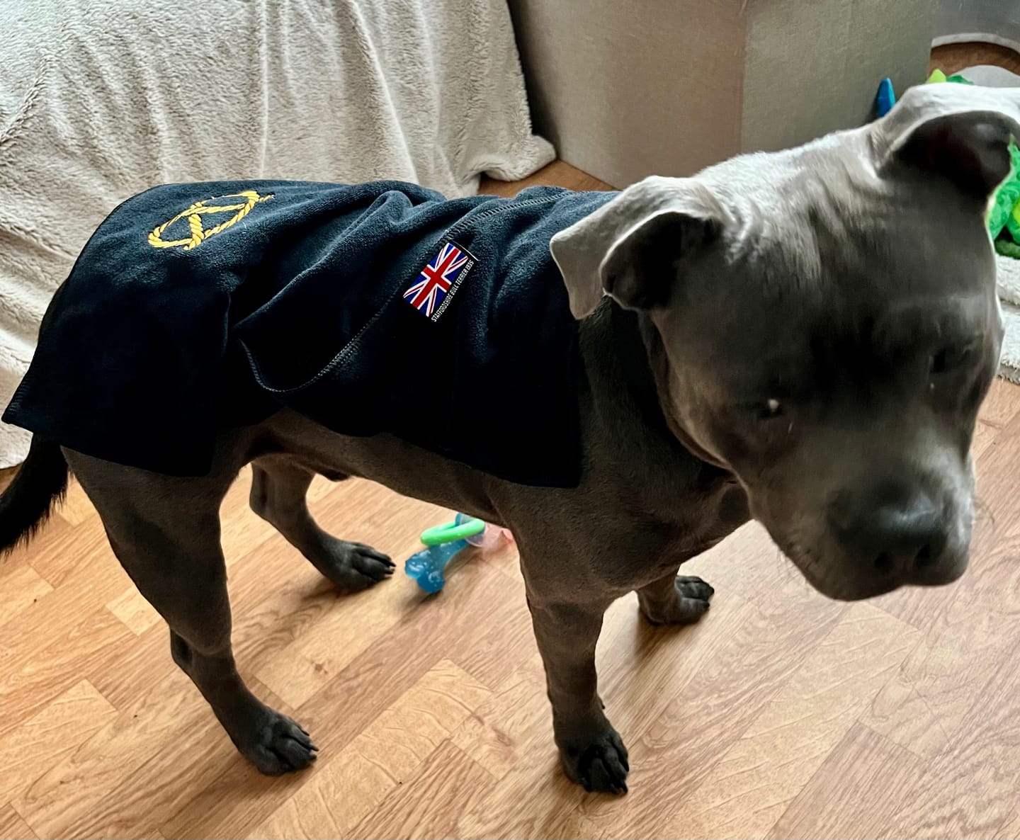 Customer photo review of Staffordshire Bull Terrier 1935® Towel - Black