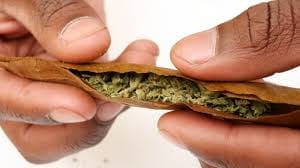 Customer photo review of Greenhouse Smalls