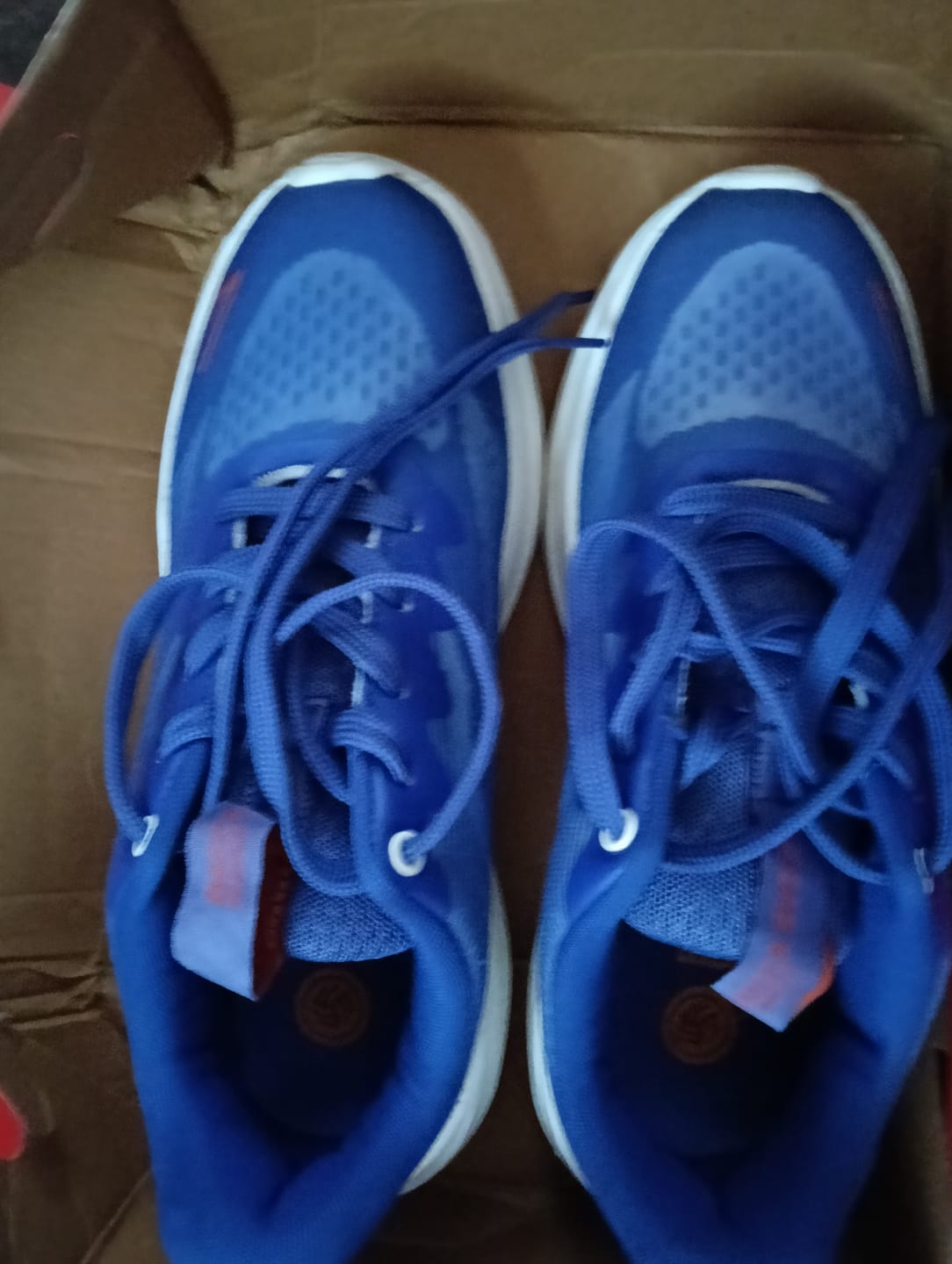 Customer photo review of Bacca Bucci SPEED PRO Athleisure Running Shoes