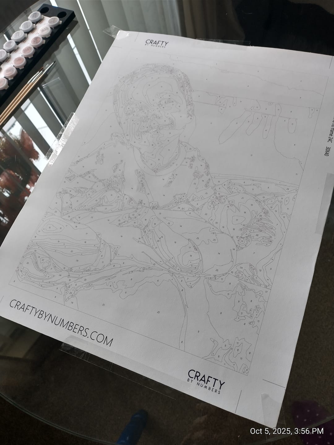 Customer photo review of Custom Paint by Numbers Kit