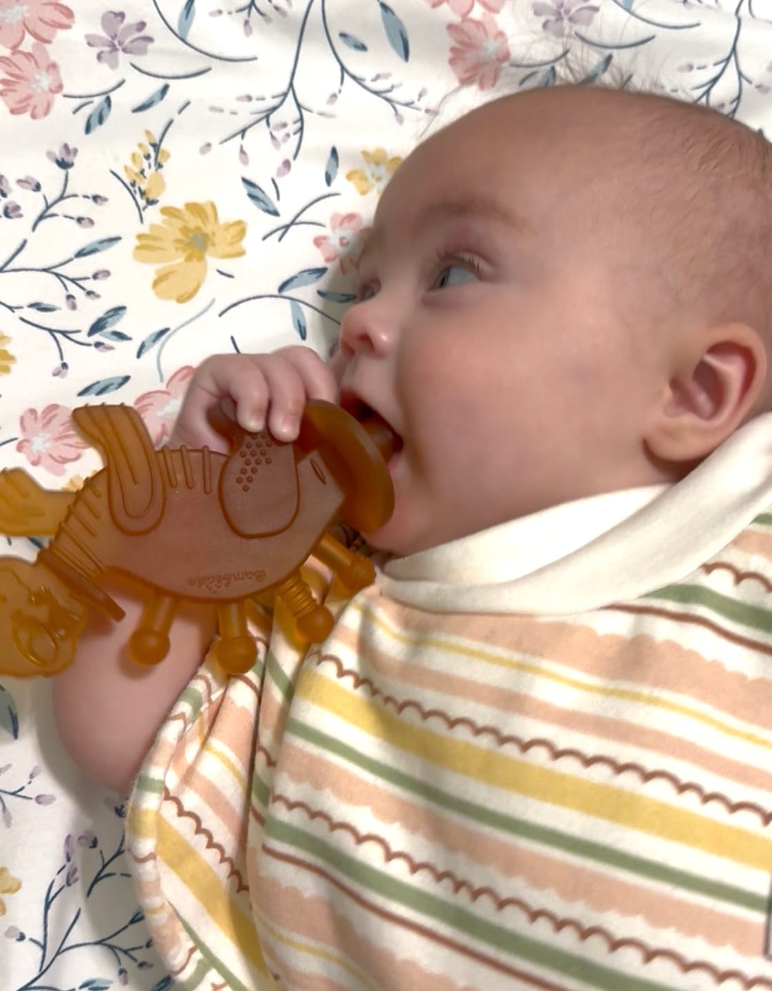 Customer photo review of Dibly Amber - Baltic Amber & Natural Rubber Dinosaur Teether with Toothbrush Tail