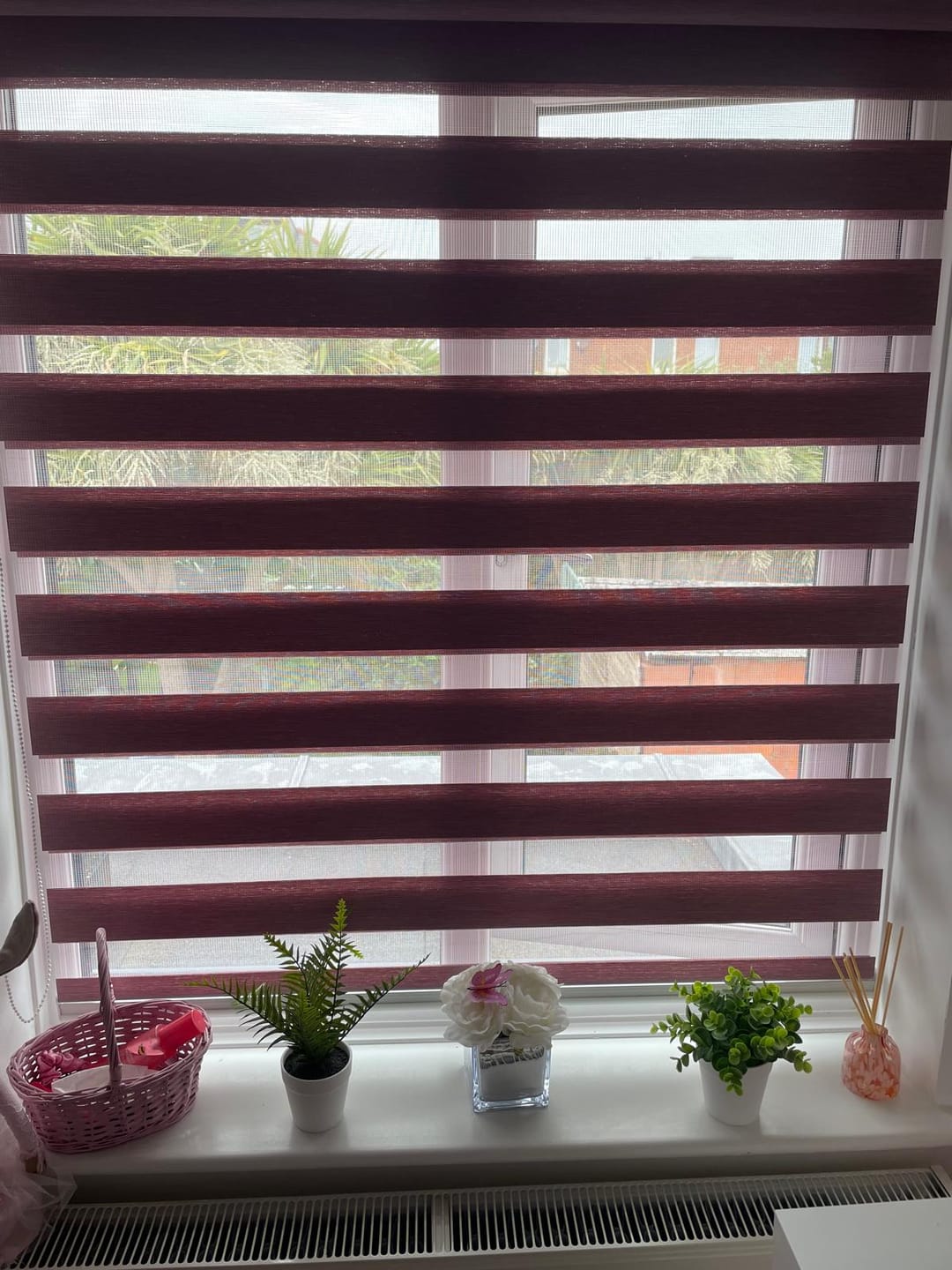 Customer photo review of Allure Twilight Mauve Day & Night Blinds