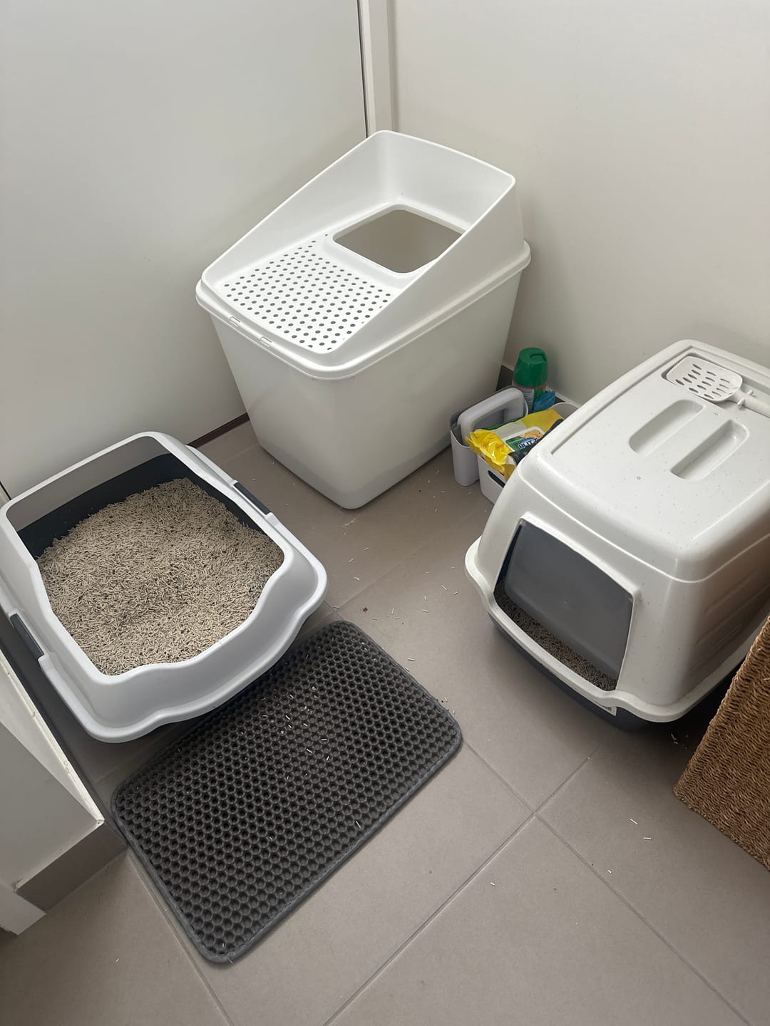 Customer photo review of Michu Premium Mixed Tofu Cat Litter Pro Gen2 6L- Superb in Flushable, Eco-Friendly & Odour-Control