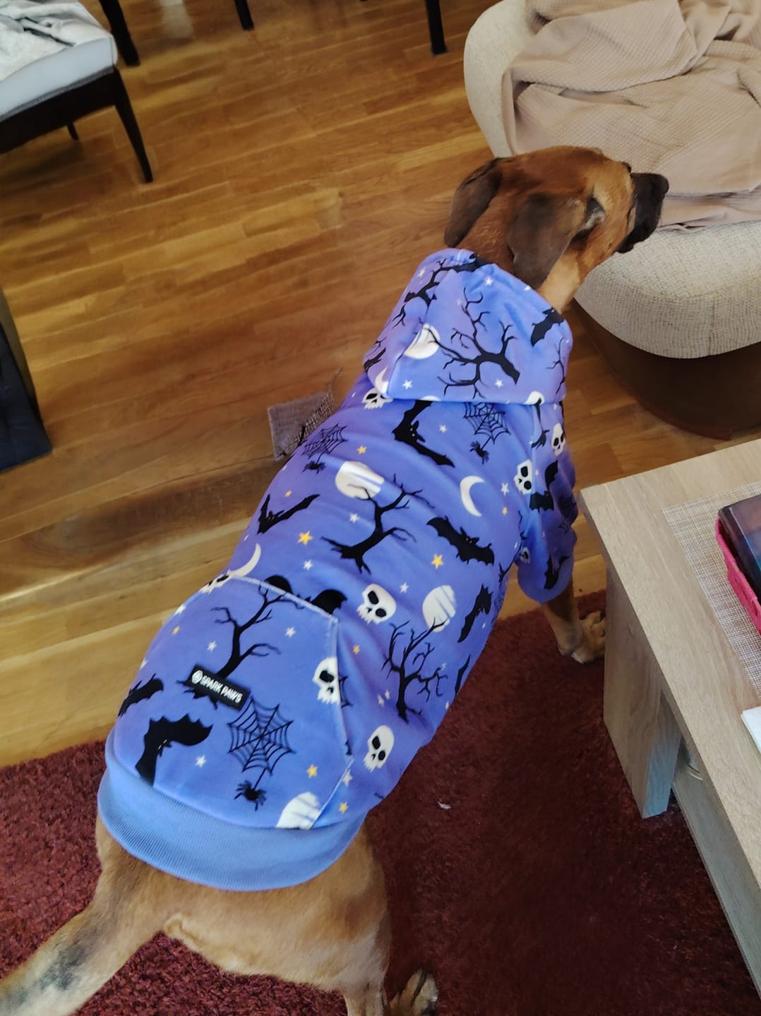 Customer photo review of Halloween Dog Hoodie - Purple